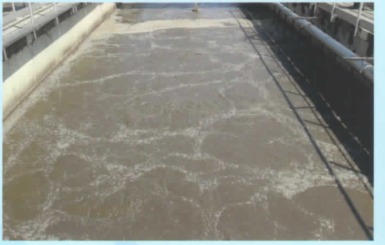 Biological Aeration System